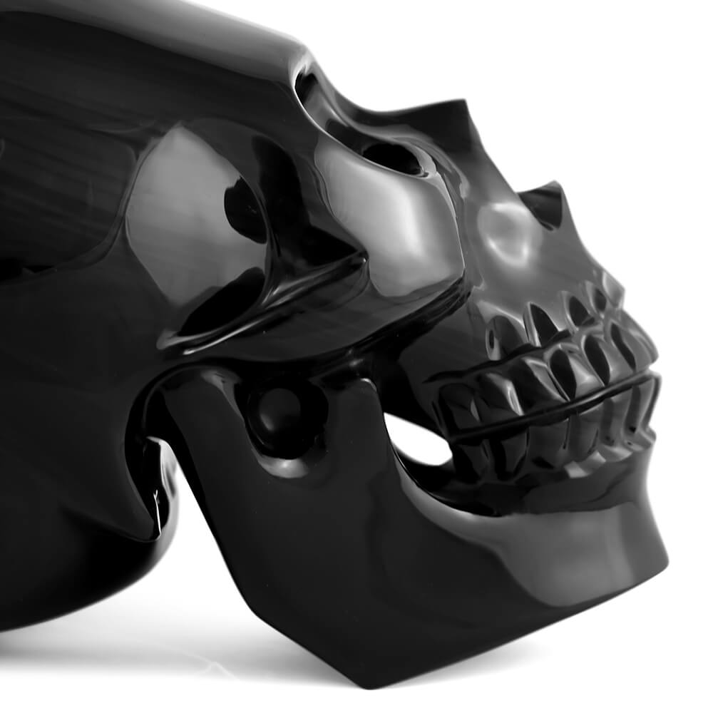 Cráneo Homo