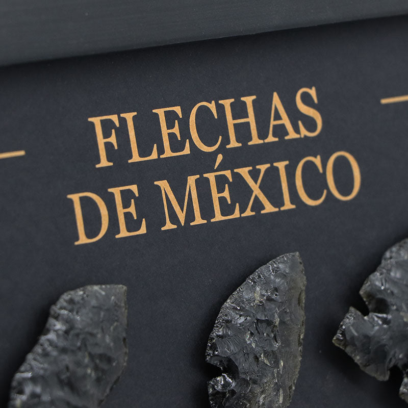 Cuadro flechas de méxico