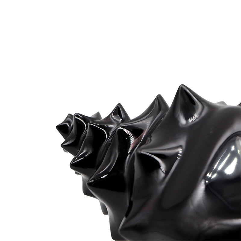 Caracol mediano obsidiana arcoíris