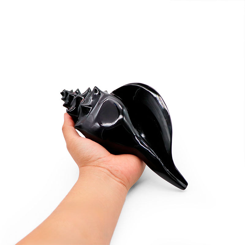 Caracol mediano obsidiana arcoíris