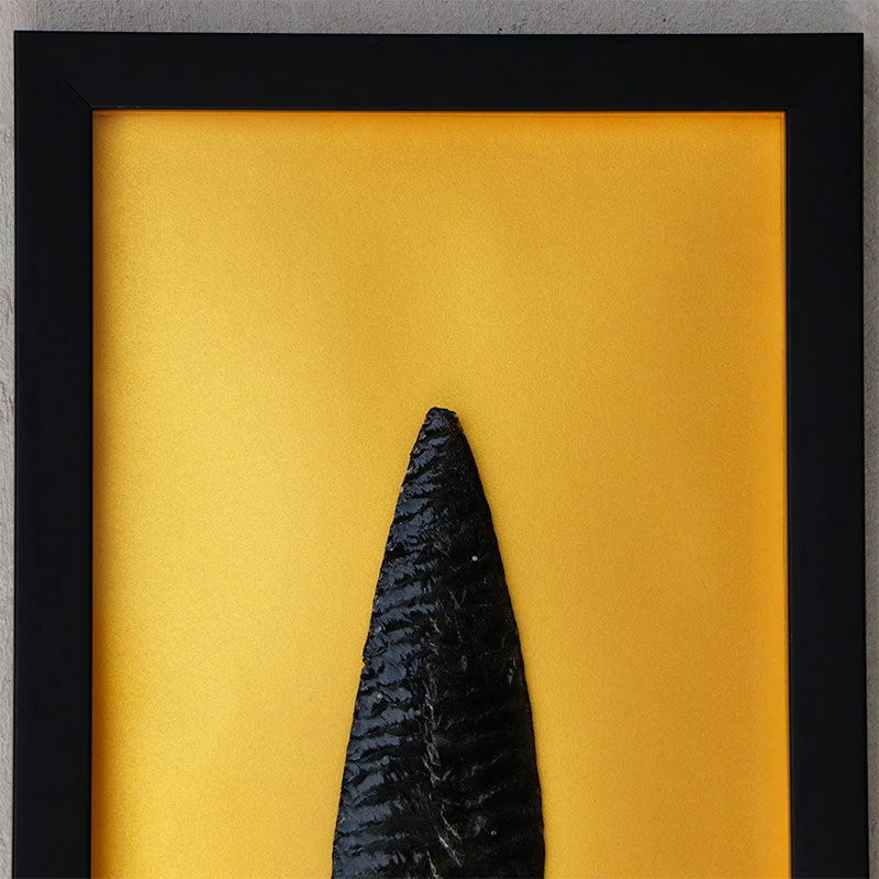 Cuadro grande dorado con punta de obsidiana negra