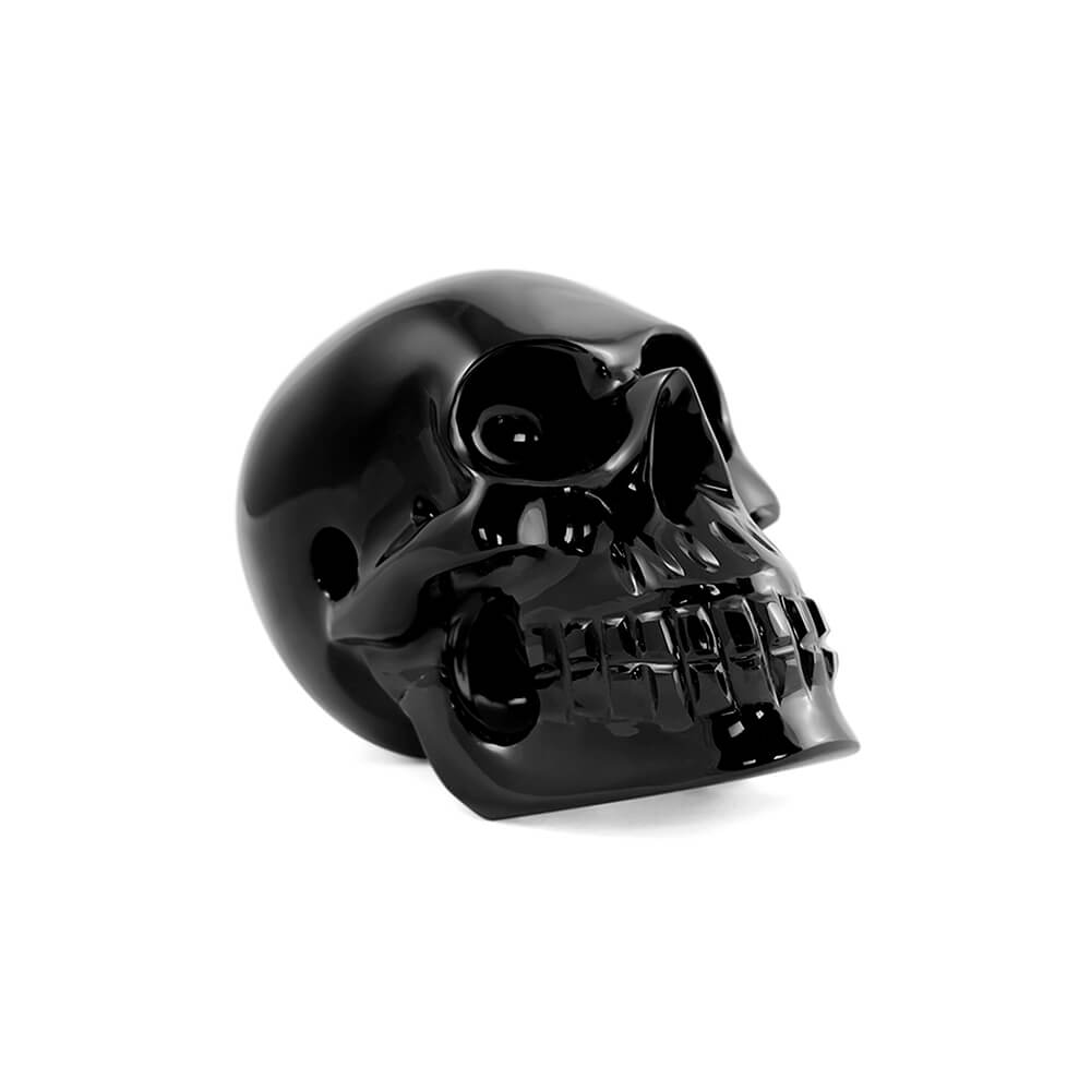 Cráneo obsidiana negra
